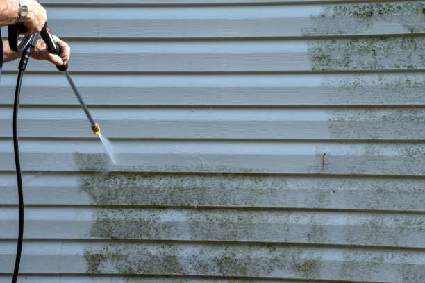 Best Demolition Debris Removal  in Black River, NY