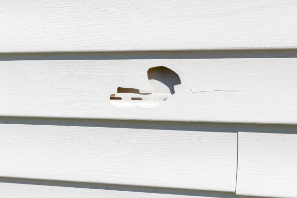 Best Property Management Cleanouts  in Black River, NY