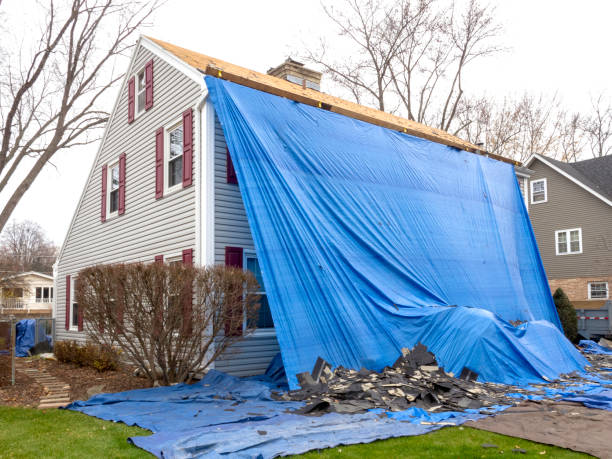 Best Construction Debris Removal  in Black River, NY
